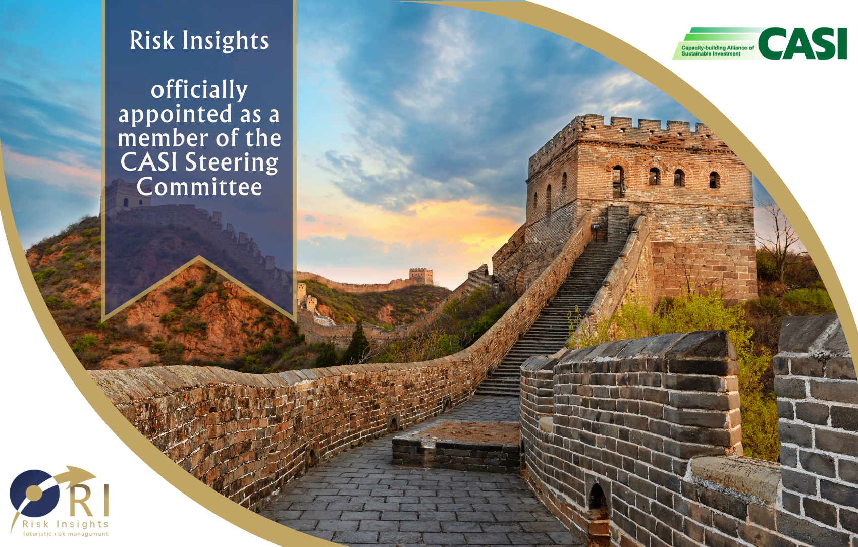 RISK INSIGHTS FOUNDER APPOINTED TO CASI STEERING COMMITTEE